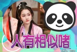 娱乐圈吃瓜爆料小说下载,揭秘幕后吃瓜爆料小说大揭秘