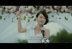 爱爱大全视频,探索人类性爱的奥秘与技巧