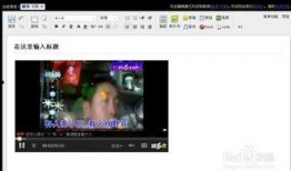 视频博客,带你领略精彩瞬间