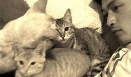 娱乐吃瓜君猫爷