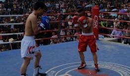 拳击比赛视频